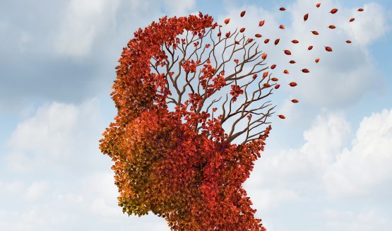 Brain disease with memory loss due to Dementia and Alzheimer's illness with the medical icon of an autumn season color tree in the shape of a human head and brain losing leaves as a concept of intelligence decline.